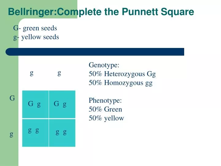 bellringer complete the punnett square