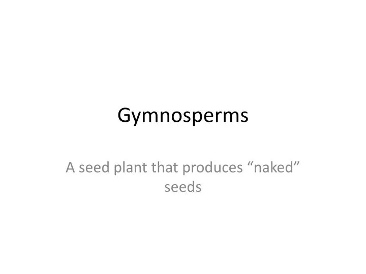 PPT - Gymnosperms PowerPoint Presentation, free download - ID:2363400