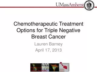 Chemotherapeutic Treatment Options for Triple Negative Breast Cancer