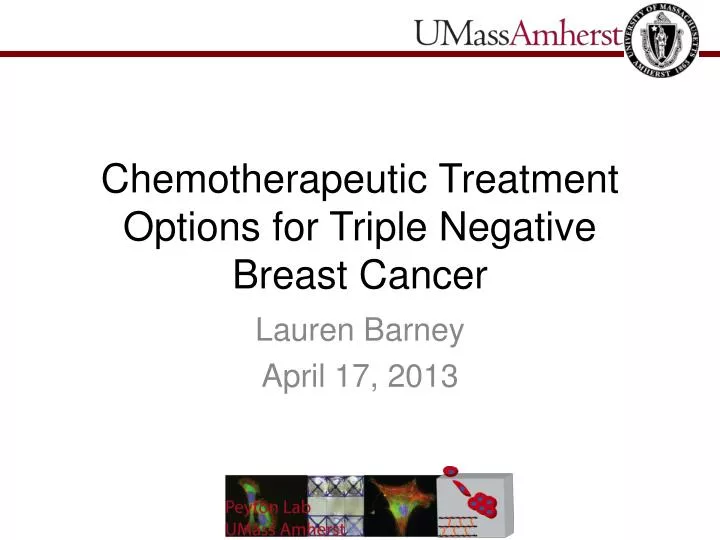 chemotherapeutic treatment options for triple negative breast cancer