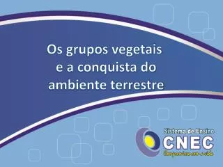 os grupos vegetais e a conquista do ambiente terrestre