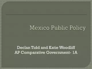 Mexico Public Policy