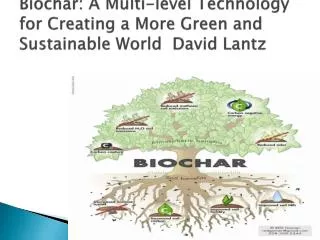 Biochar: A Multi-level Technology for Creating a More Green and Sustainable World David Lantz