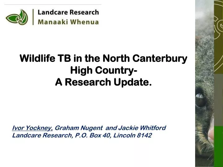 wildlife tb in the north canterbury high country a research update