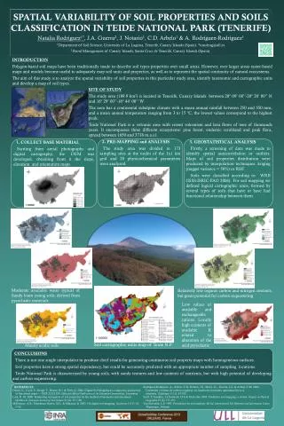 SPATIAL VARIABILITY OF SOIL PROPERTIES AND SOILS CLASSIFICATION IN TEIDE NATIONAL PARK (TENERIFE)
