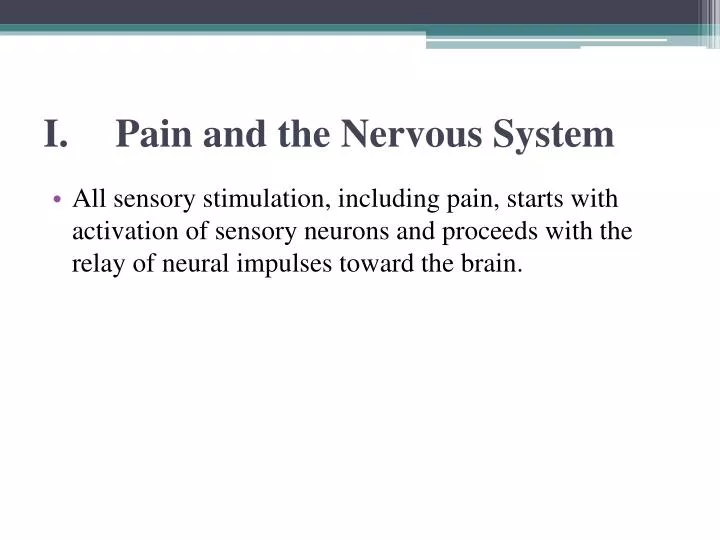 i pain and the nervous system