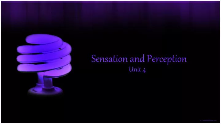 sensation and perception