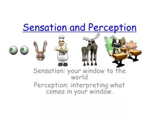 Sensation and Perception