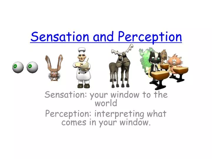 sensation and perception