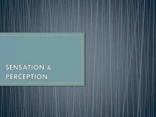 SENSATION &amp; PERCEPTION