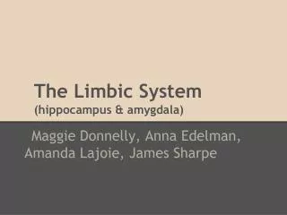 The Limbic System (hippocampus &amp; amygdala)