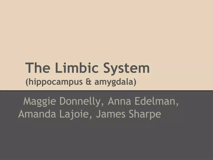 the limbic system hippocampus amygdala