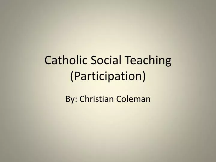 catholic social teaching participation