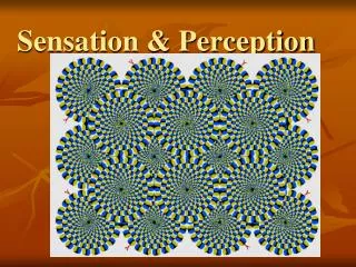Sensation &amp; Perception