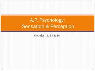 A.P. Psychology: Sensation &amp; Perception