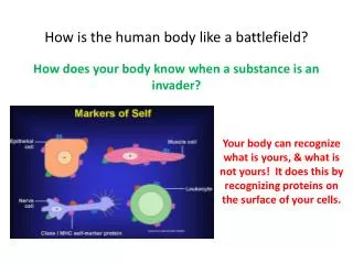 How is the human body like a battlefield?