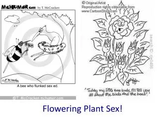Flowering Plant Sex!