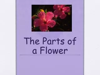 The Parts of a Flower