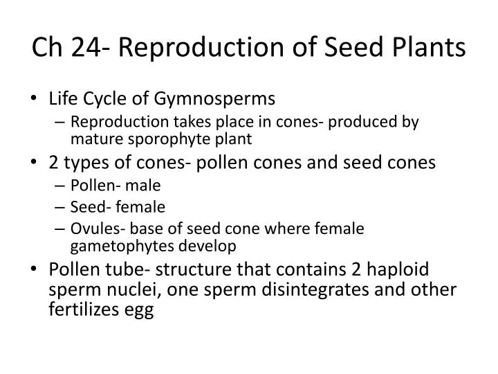 ch 24 reproduction of seed plants