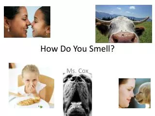 How Do You Smell?