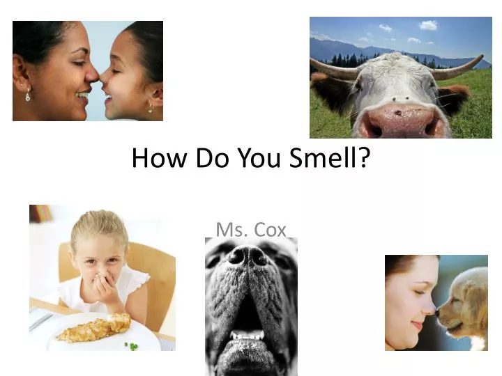 how do you smell