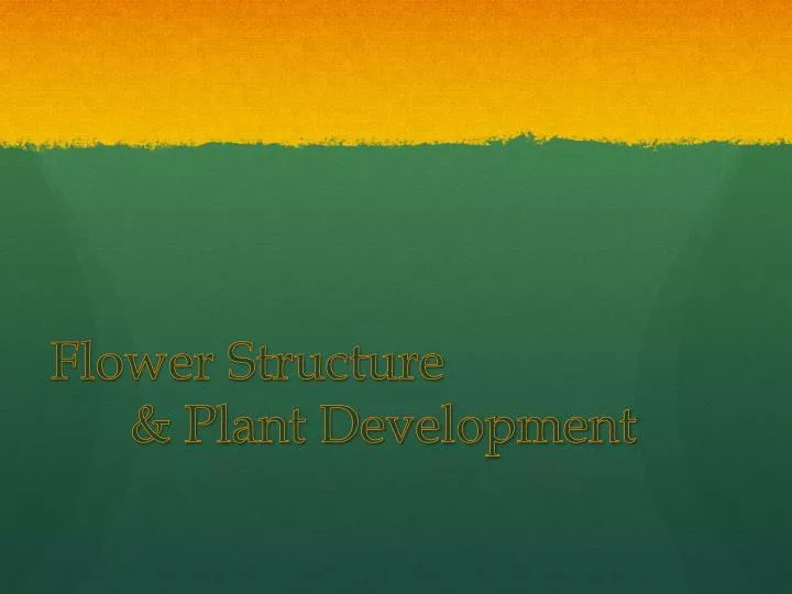 flower structure plant development