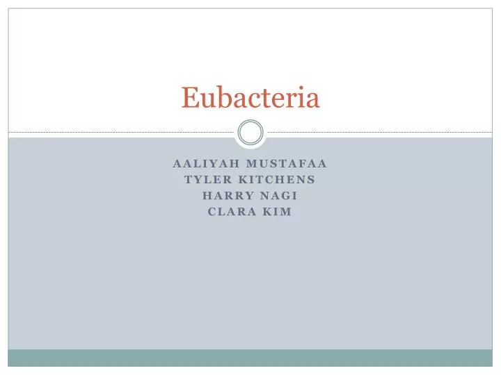 eubacteria