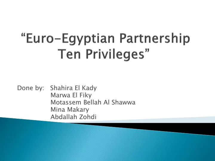 euro egyptian partnership ten privileges