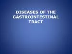 PPT - The Gastrointestinal Tract PowerPoint Presentation, Free Download ...