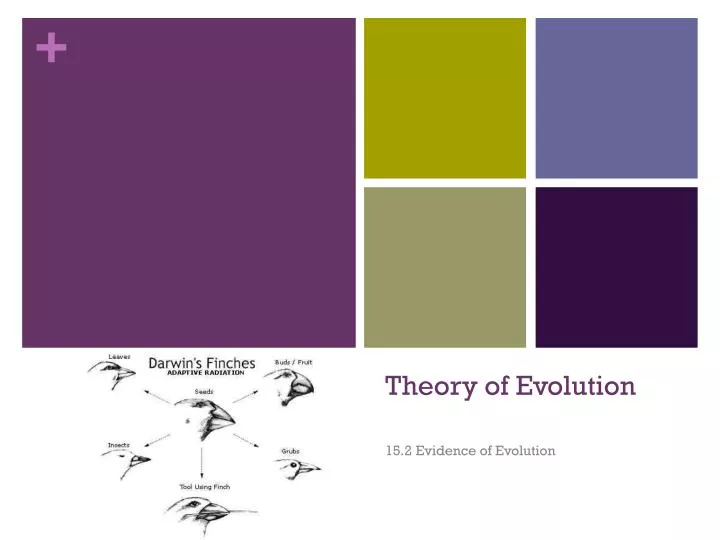 theory of evolution