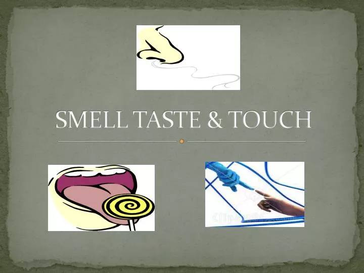 smell taste touch