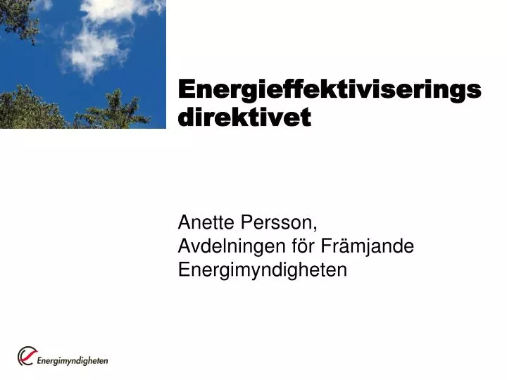 energieffektiviserings direktivet