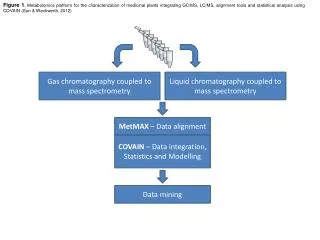 Gas chromatography coupled to mass spectrometry