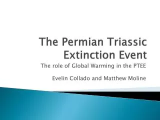 The Permian Triassic Extinction Event