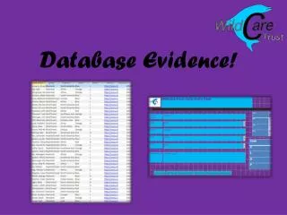 Database Evidence!