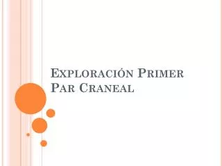 exploraci n primer par craneal