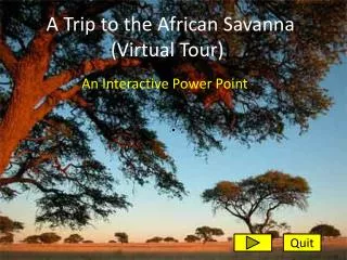 A Trip to the African Savanna (Virtual Tour) )