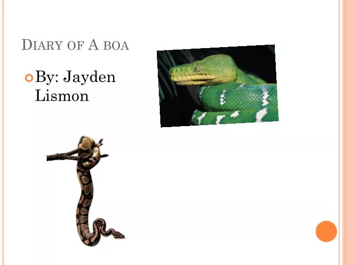 diary of a boa