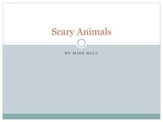 Scary Animals