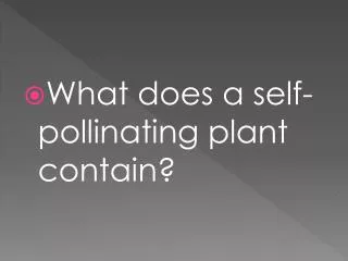 What does a self-pollinating plant contain?