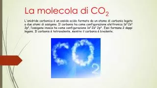 la molecola di co 2