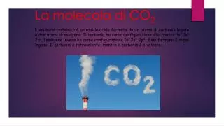 la molecola di co 2