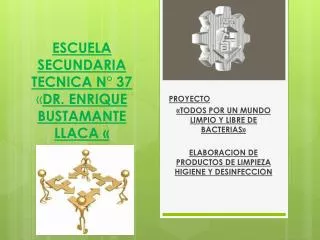 escuela secundaria tecnica n 37 dr enrique bustamante llaca