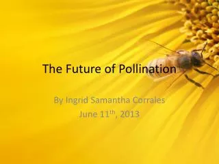 The Future of Pollination