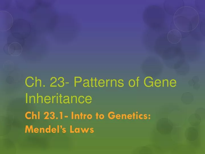 ch 23 patterns of gene inheritance