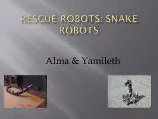 Rescue Robots: Snake Robots