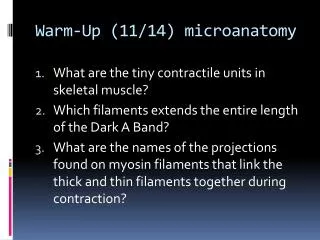Warm-Up ( 11/14) microanatomy