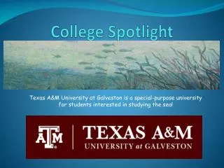 College Spotlight