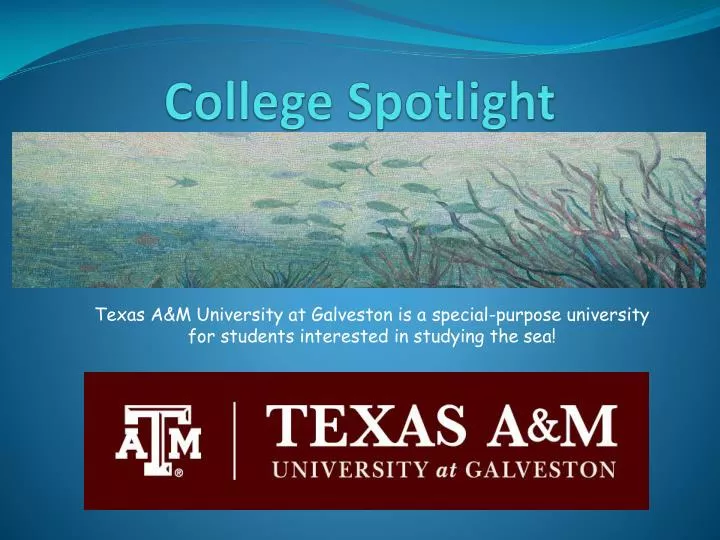 college spotlight