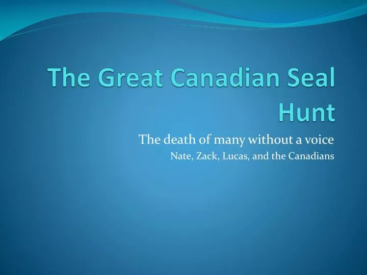 the great canadian seal hunt